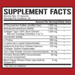 Joint Defender Legendary Series 5% Nutrition Rich Piana Info 200 Capsules