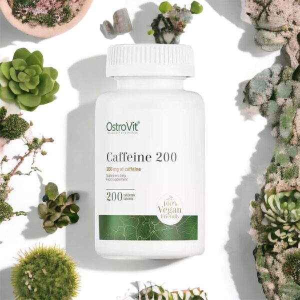 Caffeine Fitcookie 200 Tablets