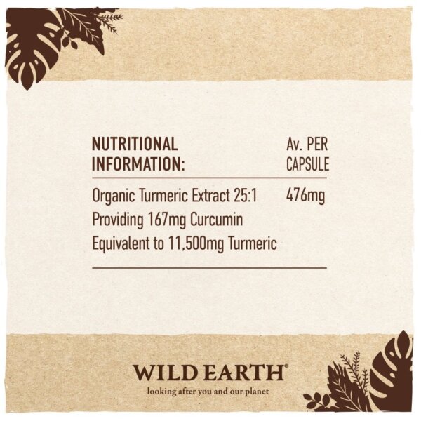 organic-turmeric-wild-earth