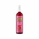 Fitking Delicious Syrup Raspberry Allnutrition 420ml