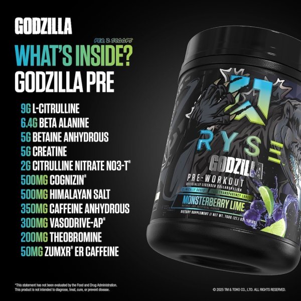 Godzilla Ryse Supps Info2 796g