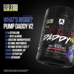 Pump Daddy V2 Ryse Supps Info2 652g