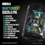 Godzilla Ryse Supps Info2 796g